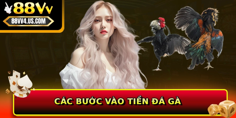 Cách Chơi Đá Gà Online 88VV Theo Chuẩn Luật Quốc Tế 3 Các bước vào tiền đá gà