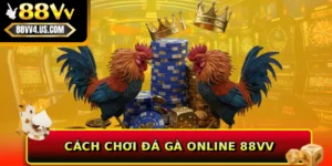 Cách chơi đá gà online 88VV