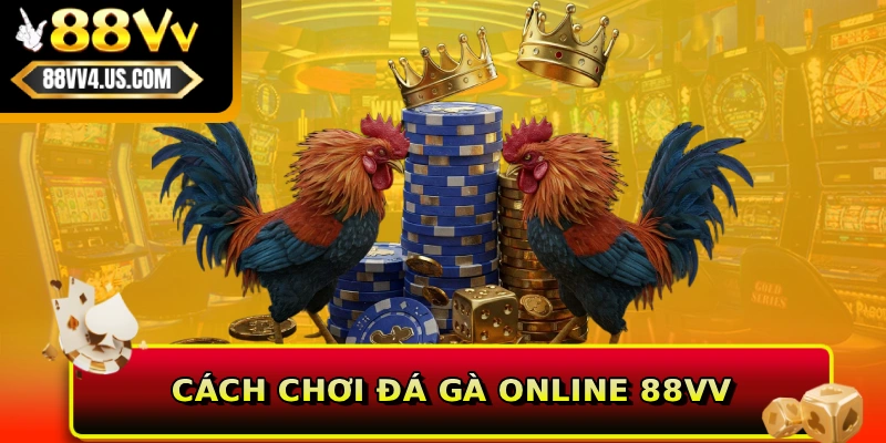 Cách Chơi Đá Gà Online 88VV Theo Chuẩn Luật Quốc Tế 1 Cách chơi đá gà online 88VV