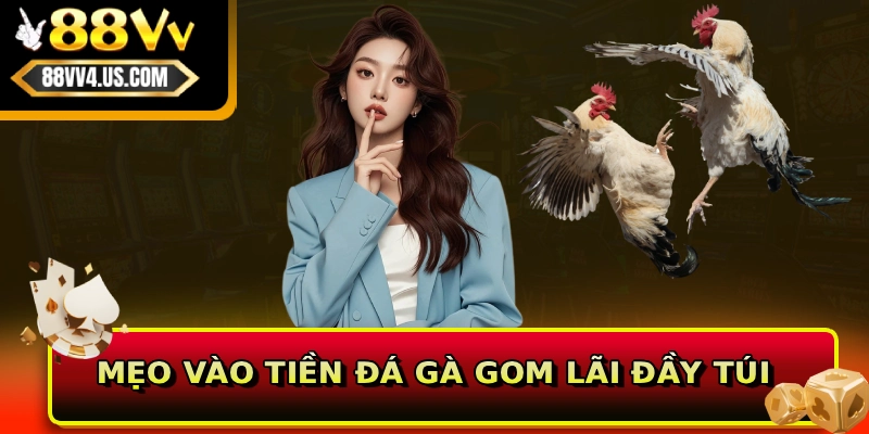 Cách Chơi Đá Gà Online 88VV Theo Chuẩn Luật Quốc Tế 4 Mẹo vào tiền đá gà gom lãi đầy túi